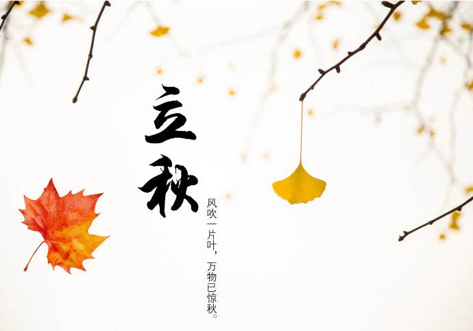 今日立秋，青島瑞普特分享立秋小知識