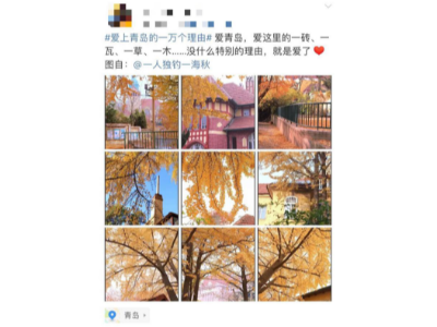 #愛(ài)上青島的一萬(wàn)個(gè)理由#，熱交換器廠家青島瑞普特算一個(gè)
